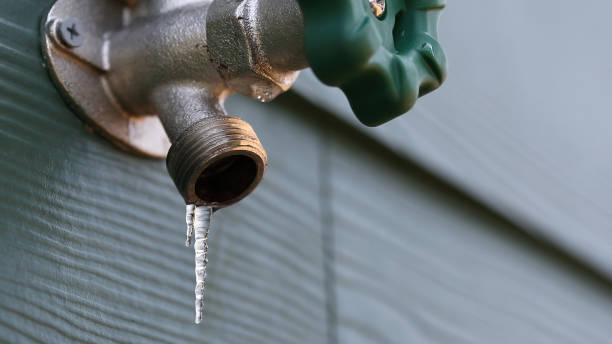 Best Clogged Drain Plumber  in Temelec, CA